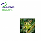 Tribulus Terrestris Extract 