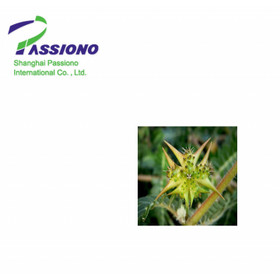 Tribulus Terrestris Extract 