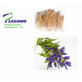 Gentian Root P.E.5% Gentiopicrin