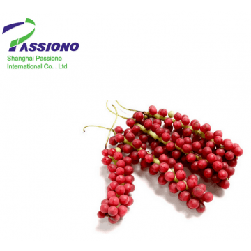 Schisandra Extract Powder