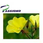 Evening Primrose Oil