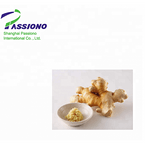 Ginger Root P.E