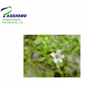 Bacopa Monnieri P.E.20%Bacopaside