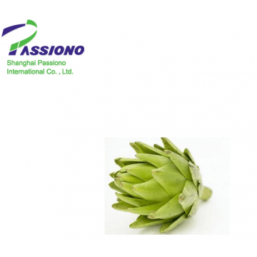 Artichoke Extract