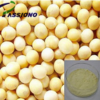 Soy Isoflavone Powder