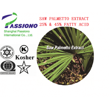 Saw Palmetto Extract 