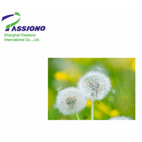 Dandelion Extract 