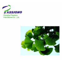 Ginkgo Biloba Extract Powder