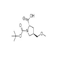 Intestinal trust (colistin sulfate soluble powder)