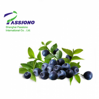 Natural 25%UV Bilberry Extract