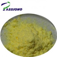 Rutin Sophora Japonica P.E. 95% UV Quercetin