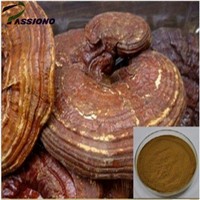 Chinese Reishi Mushroom Extract
