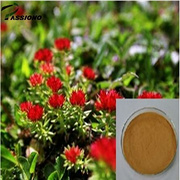 Rhodiola Rosea P.E.