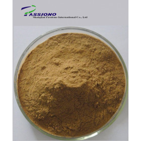 Bacopa Monnieri Extract