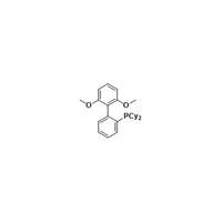2-Dicyclohexylphosphino-2',6'- dimethoxy-1,1'-biphenyl (Sphos) [657408-07-6]