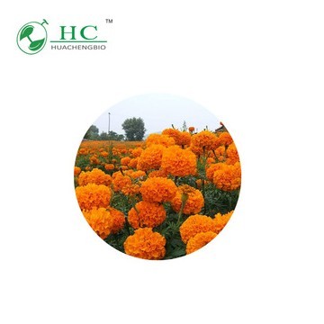 High Quality Marigold Extraction Lutein Powder