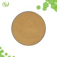 China Hot Sales Product Bulk Supply Flaxseed Oil Powder 