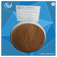 High Purity Tribulus Terrestris Extract Powder