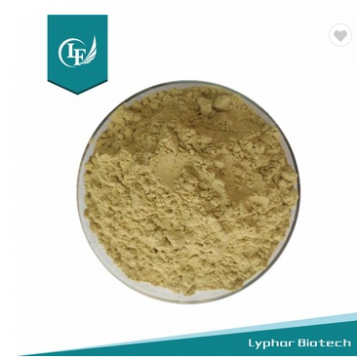 100% Natural Green Coffee Bean Extract Powder
