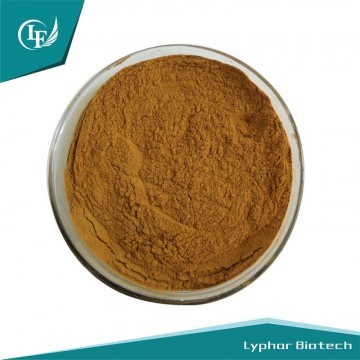 ISO Factory Supply Fiveleaf Gynostemma Extract 