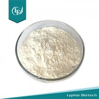 Reliable Manufacturer Supply High Purity Soya Lecithin Powder 