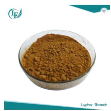 100% Natural Ginkgo Leaf Extract Ginkgetin