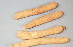 American Ginseng Extract