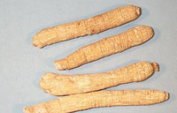 American Ginseng Extract