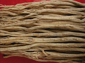 Astragalus Extract