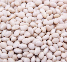 White Kidney Bean Extract