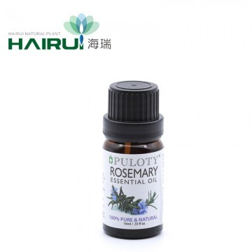 Oil Massage Use Green Herb Oil Rosemary 