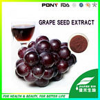 Grape Seed Extract