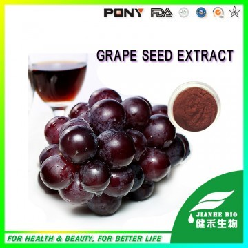 Grape Seed Extract