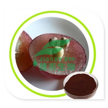 Grape seed extract(OPC)