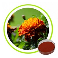 Marigold Flower Extract Lutein Powder