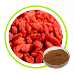 Wolfberry Extract Powder