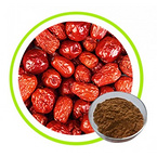 Jujube Extract Powder