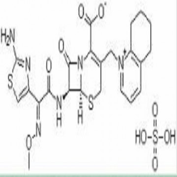 Cefquinome Sulfate