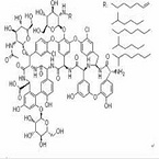 Teicoplanin