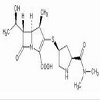 Meropenem Sodium Carbonate