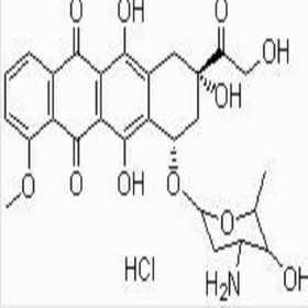 Doxorubicin HCl