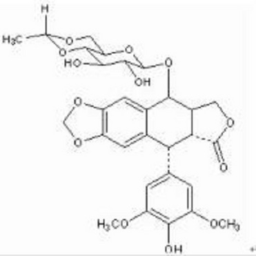 Etoposide