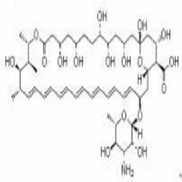 Amphotericin B