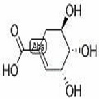 Shikimic Acid