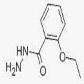 2-Ethoxybenzhydrazide