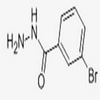 3-BROMOBENZHYDRAZIDE