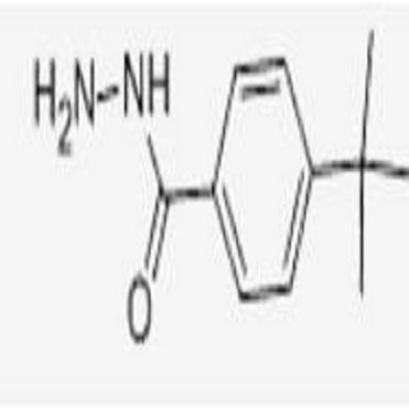 4-tert-Butylbenzhydrazide