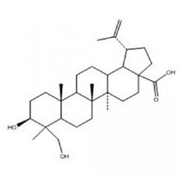 23-Hydroxybetulinic acid