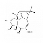 20-deoxyingenol