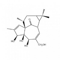 20-deoxyingenol